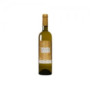 Vino Blanco Sauvignon